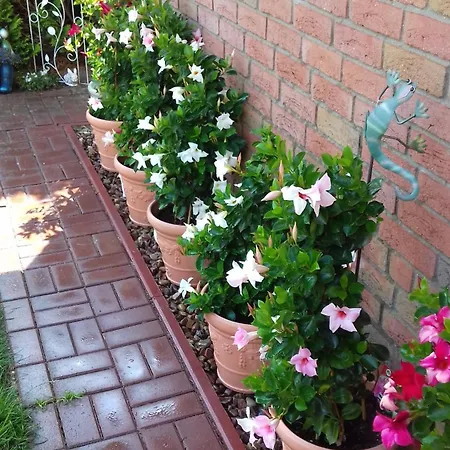 Dom wakacyjny Gaestehaus Margitta Hademstorf