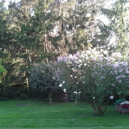 Gaestehaus Margitta Hademstorf