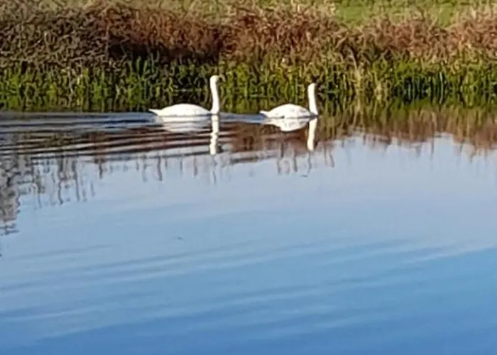 Gaestehaus Margitta Casa de Férias *